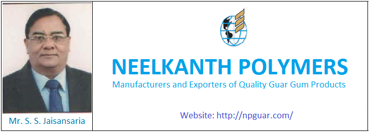 Image for Neelkanth Polymers