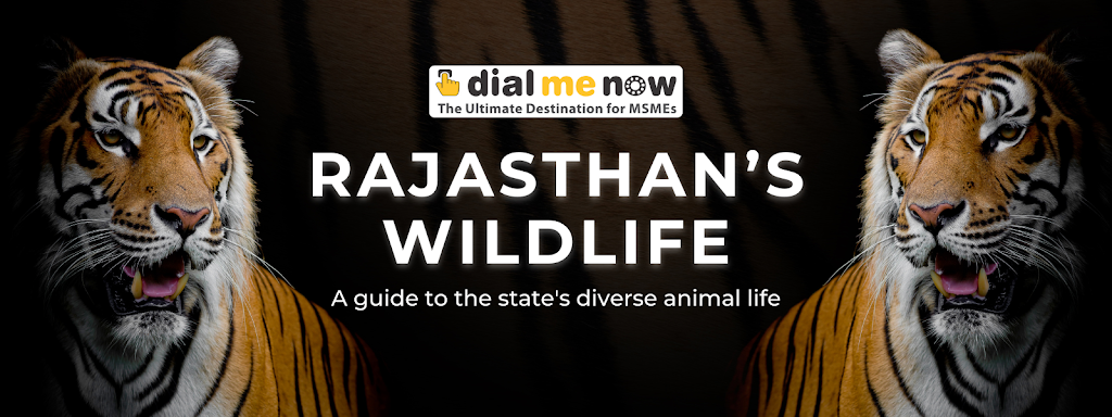 Image for Rajasthan’s Wildlife