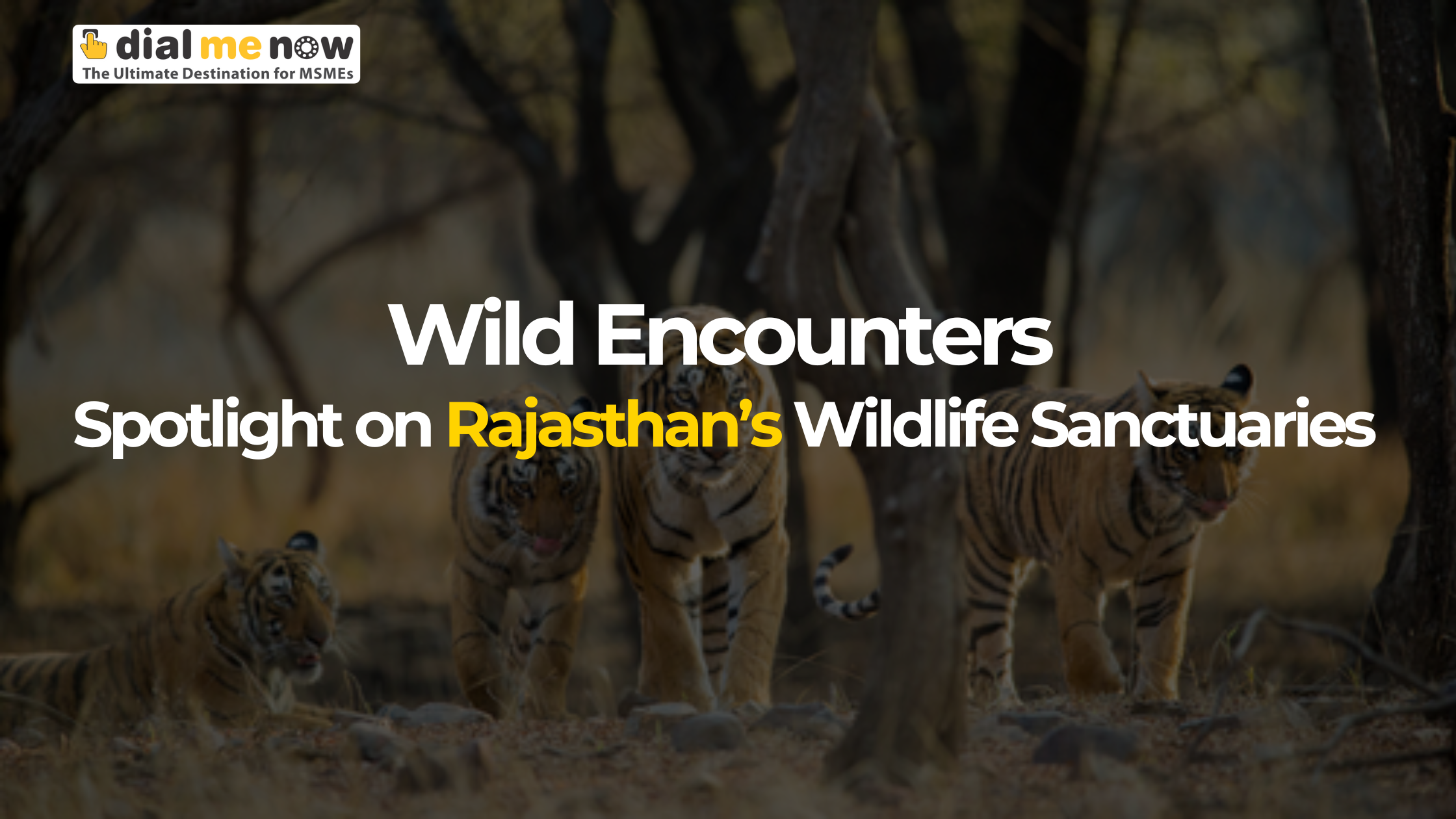 Wild Encounters: Spotlight on Rajasthan’s Wildlife Sanctuaries