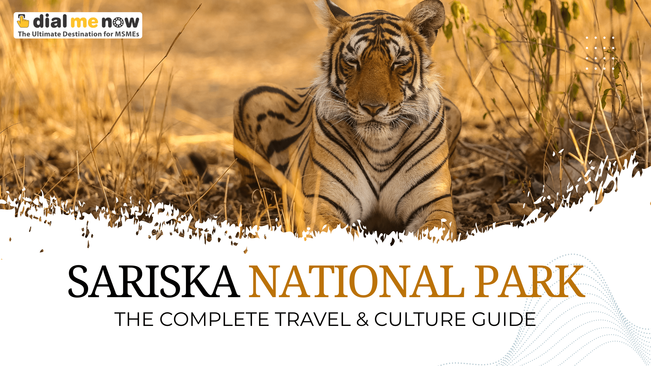 Descriptive alt text