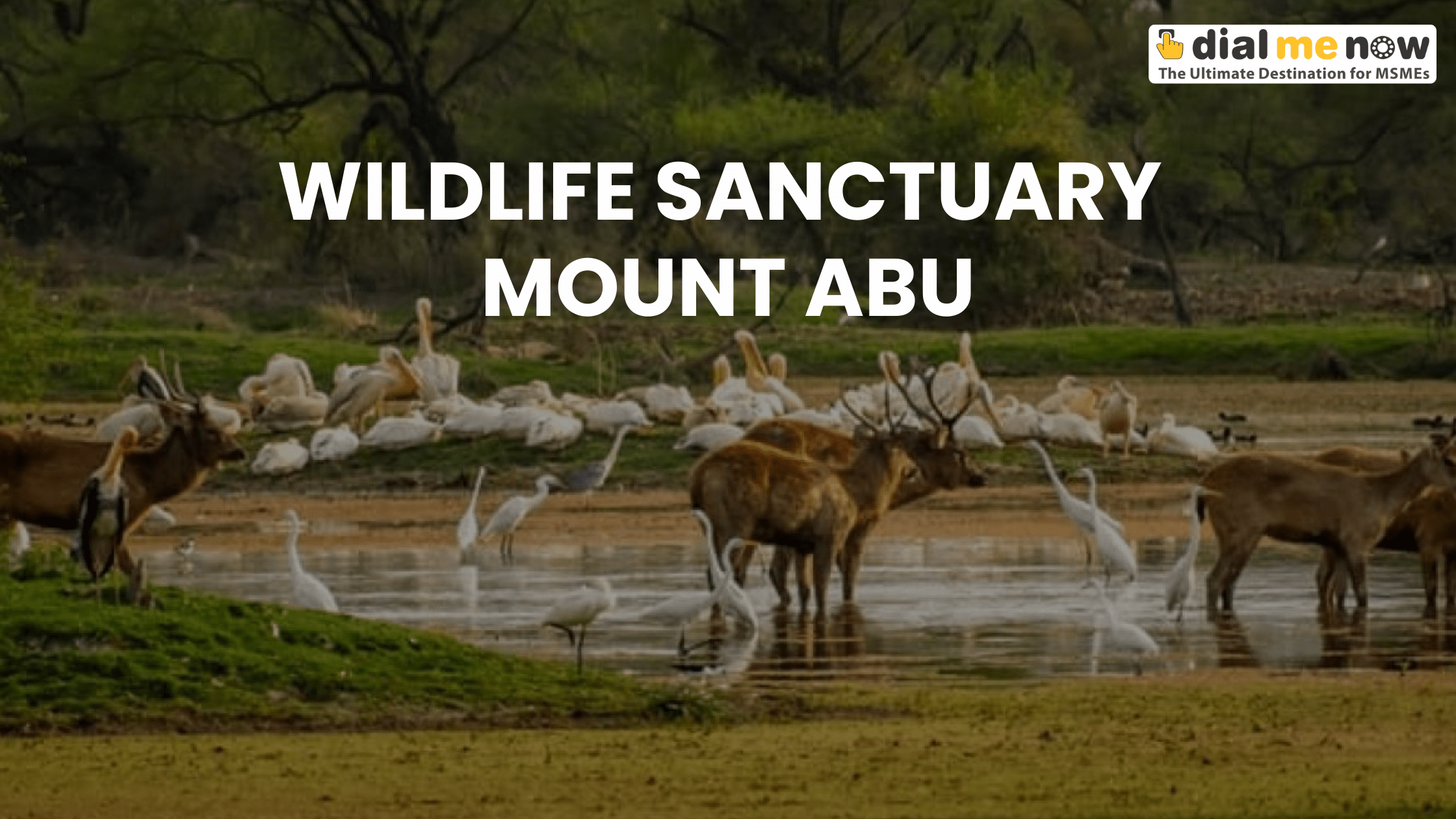 Descriptive alt text