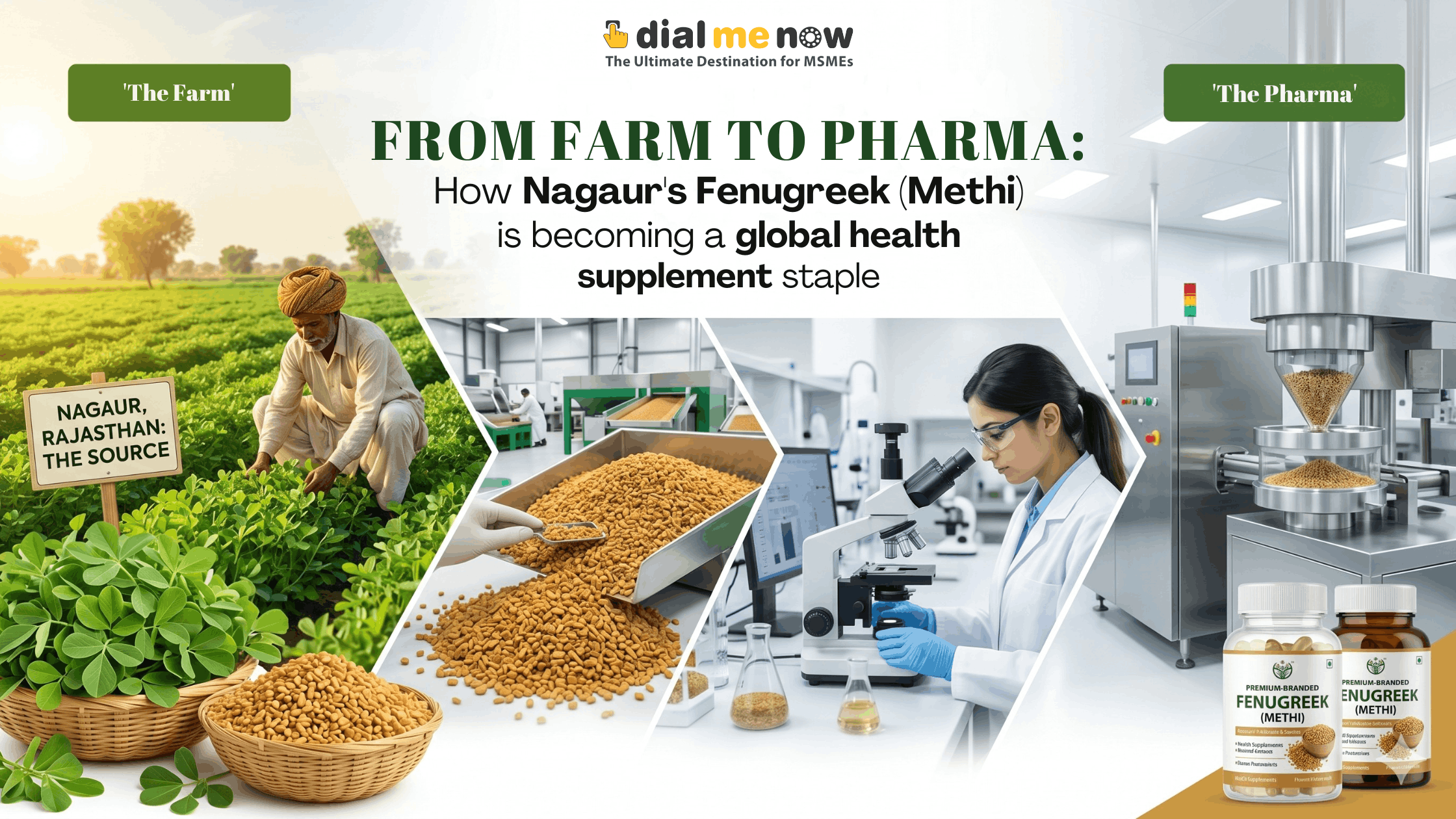 From Farm to Pharma: How Nagaur’s Fenugreek (Methi) is Becoming a Global Health Supplement Staple